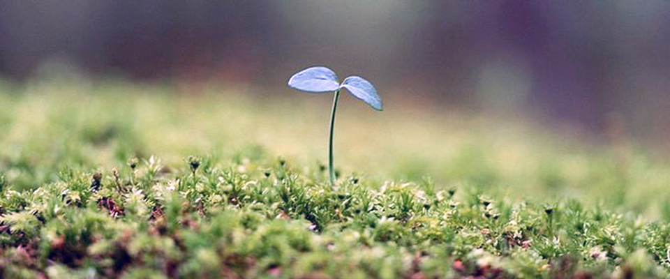 banner4